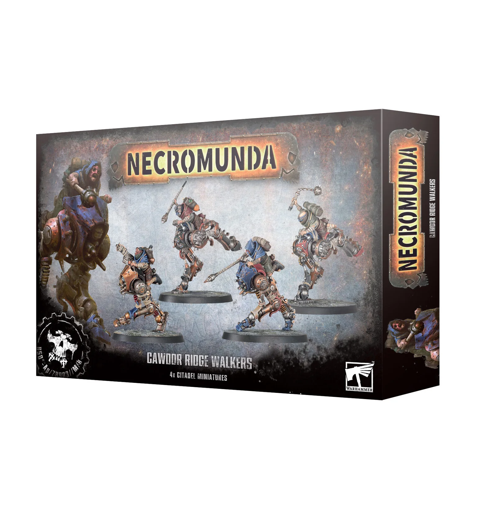 Miniatura 1
